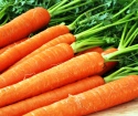 Как хранить морковь зимой