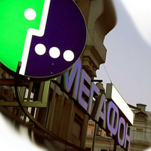 Разведение осетра в домашних условиях как бизнес » ДеньгоДел