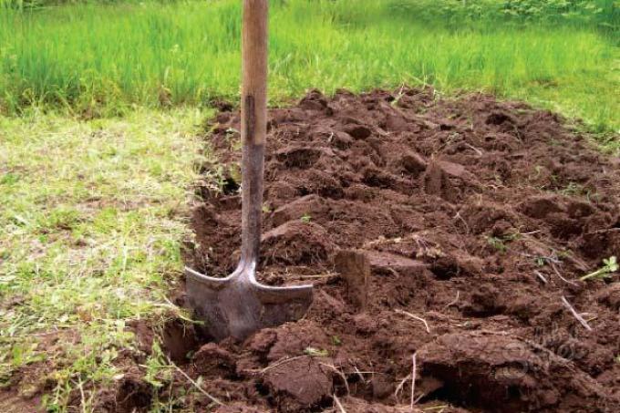 Как обработать почву перед посадкой