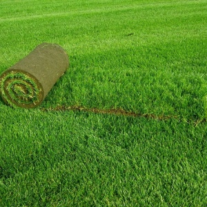 Фото как сделать газон