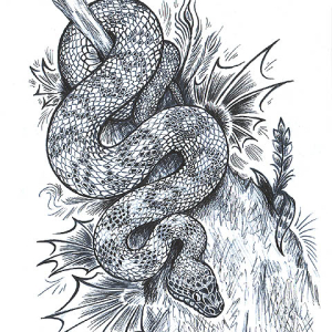 Foto cara menggambar pensil ular
