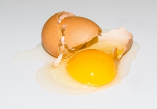 Perché polli pipì uova - cosa fare