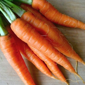 Foto como cozinhar cenouras