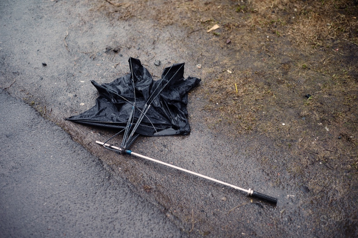 dáždnik