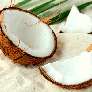 Vad är kokosnöt