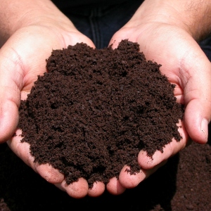 ფოტო როგორ საზ compost