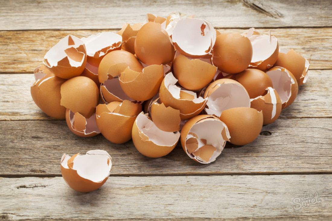 Egg shell as fertilizer for garden
