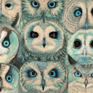 როგორ დავხატოთ owl