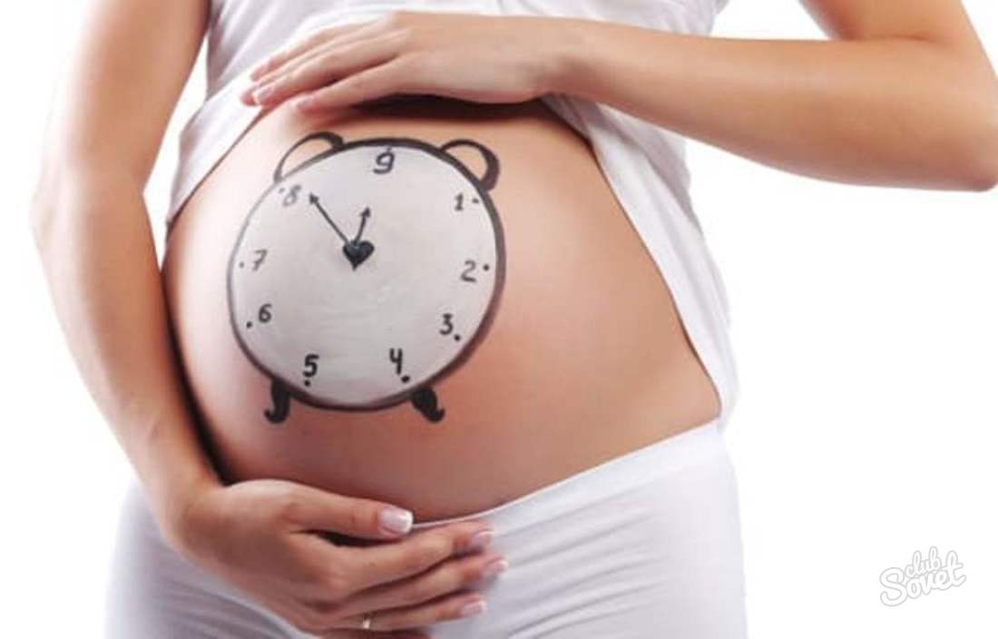 Как считать срок беременности