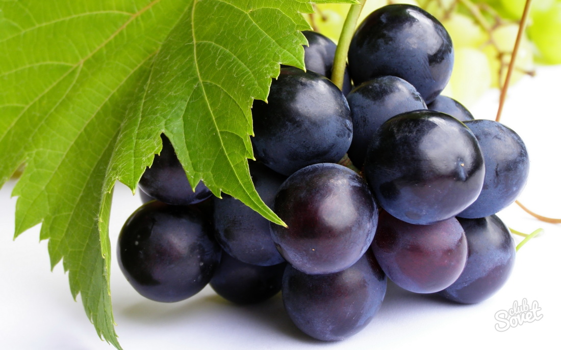 როგორ იზრდება ყურძენი