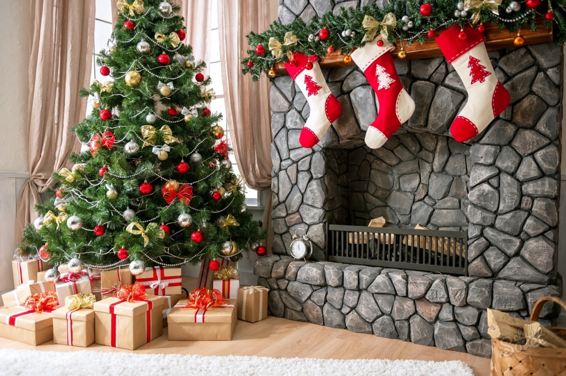كيفية وضع شجرة عيد الميلاد الحية