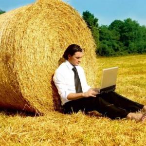 Photo How to get a loan for agriculture