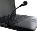 How to find a built-in microphone in a laptop