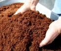Come fare compost con le tue mani