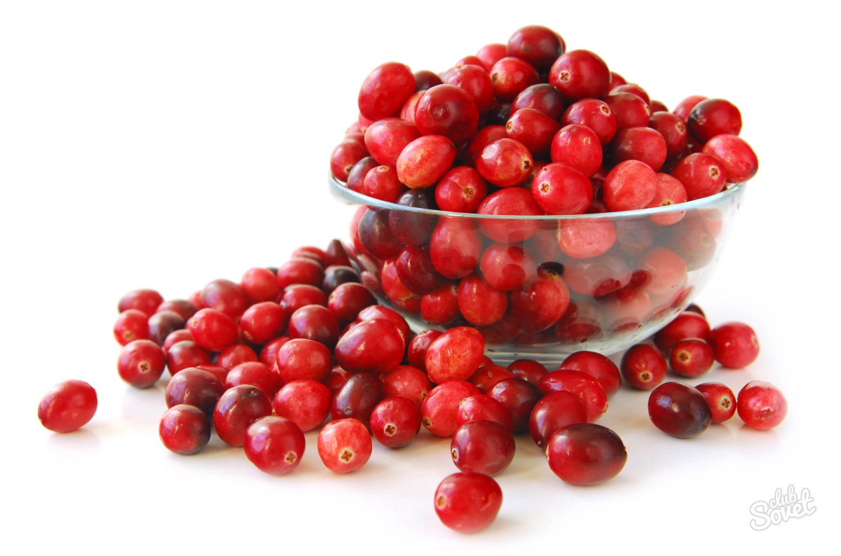 Canneberry1
