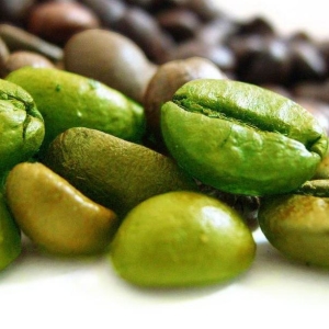 მწვანე ყავა slimming თვისებები