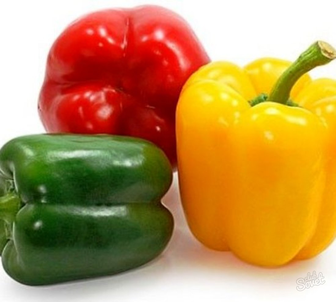 Hur man planterar paprika
