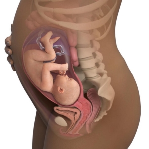 Foto 32 teden nosečnosti - kaj se zgodi?