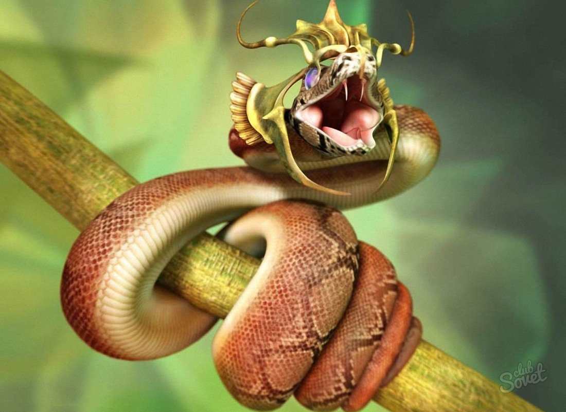 Büyük bir yılanın hayalleri nelerdir?