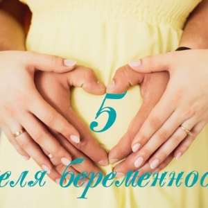 Foto 5 týždeň tehotenstva - Čo sa stane?