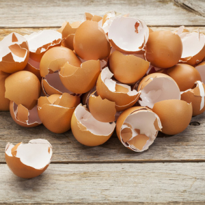 საფონდო ფოტო კვერცხები ჭურვი, როგორც სასუქი ბაღისთვის