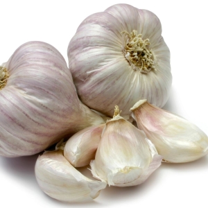 How to plant garlic