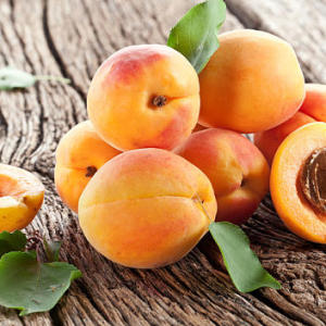 How to grow apricot