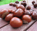 How to clean chestnuts