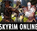 كيفية اللعب skyrim على الشبكة