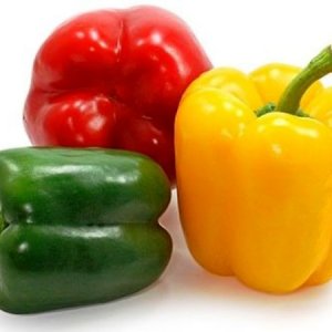 Jak rostlstva papriky