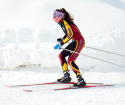 Как подобрать лыжи для конькового хода
