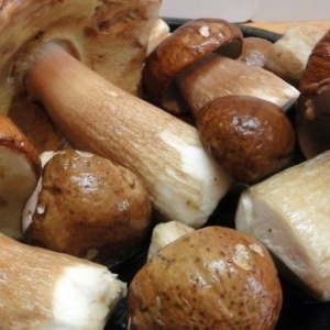 Как приготовить белые грибы?