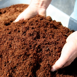 Photo how to make compost with your own hands
