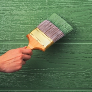 Stock fotografie Jaká barva malování plot