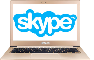 How to set up a microphone in skype