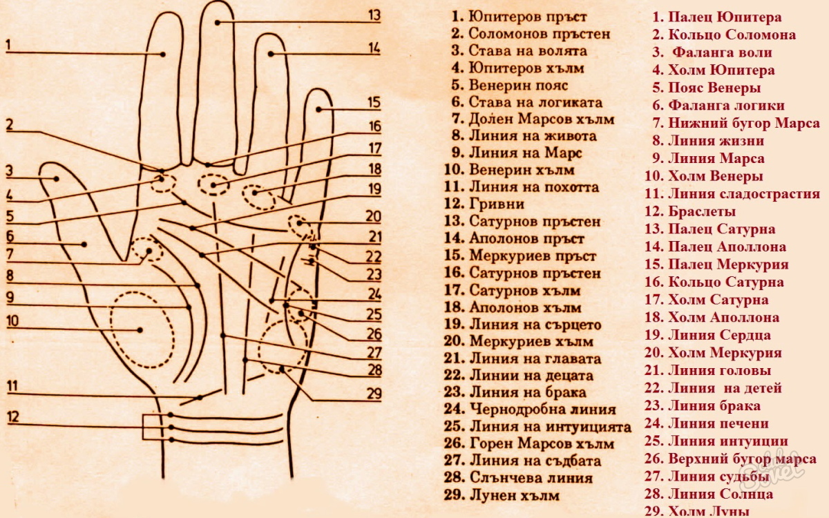 Palmistry lines on the hand.