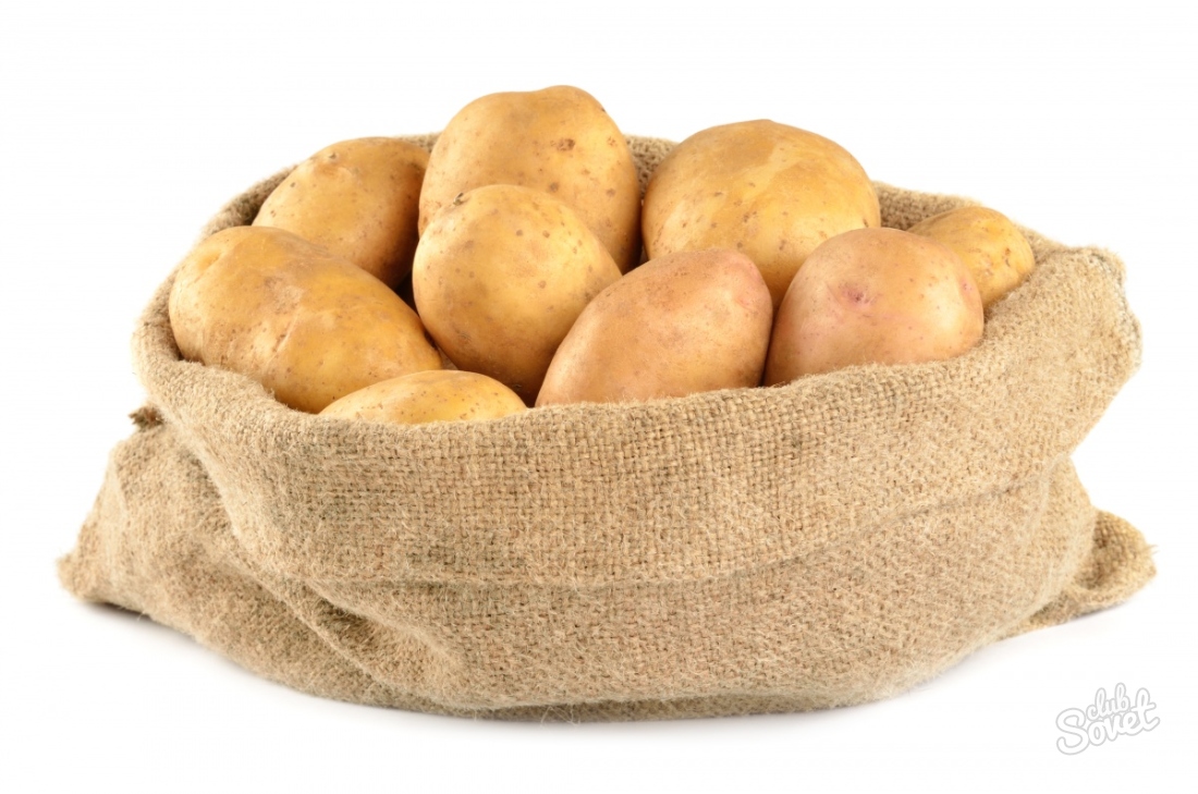 Hur man väljer en potatisbetyg för landning