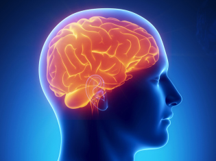 Як перевірити судини головного мозку