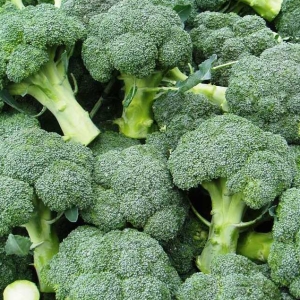 Jak rostou brokolici