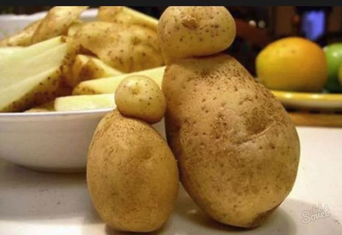 What dreams of potatoes?