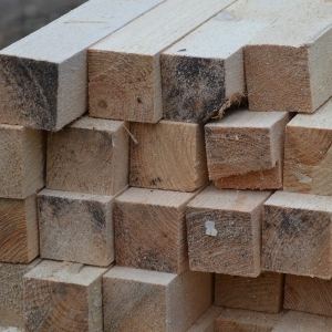 Foto Wie kann man Holz auswählen?
