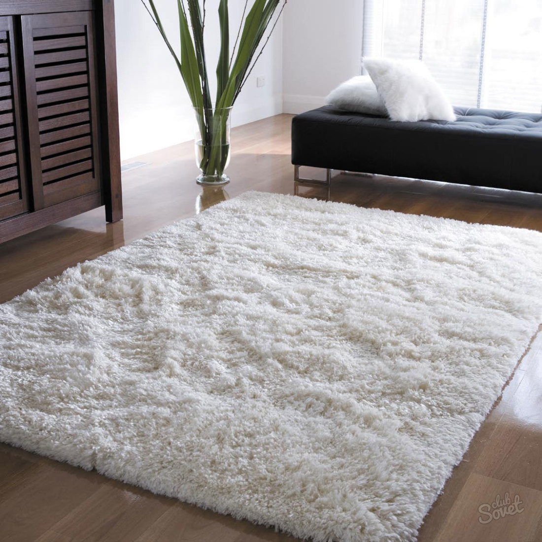 Cum pentru a curăța covorul de pete