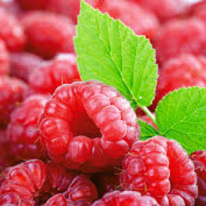 Photo How to care for raspberry repair