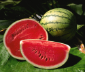 Ako si vybrať zrelý vodný melón