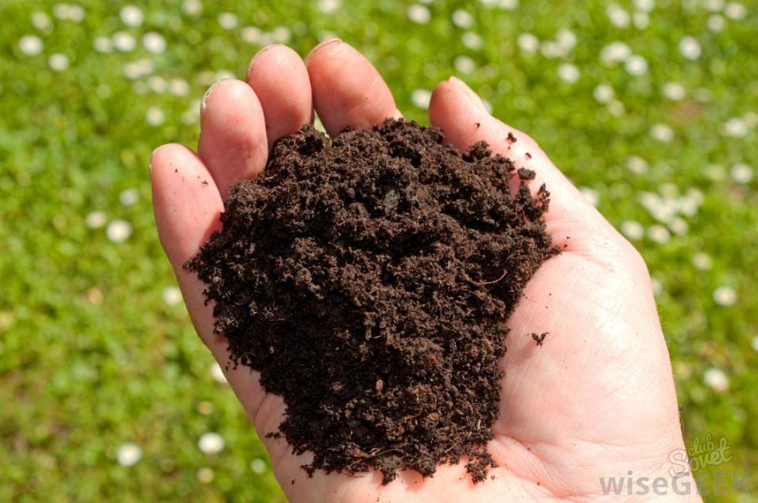 How to determine the acidity of the soil