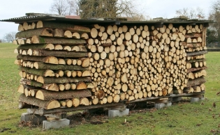 Какво сънува дърва за огрев?