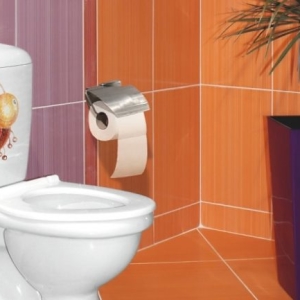 Menguji toilet - Apa yang harus dilakukan di rumah?