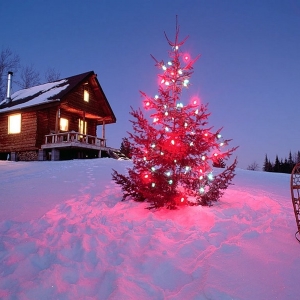 Photo Where to go to December to relax in Russia