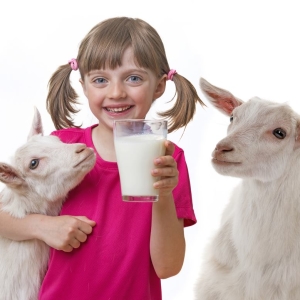Foto Vad är användbar getmjölk