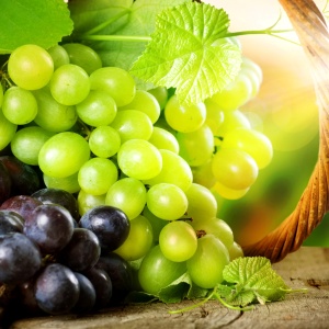 Stock Foto Kako pokriti grožđe